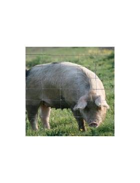 grillage gibier cyclone